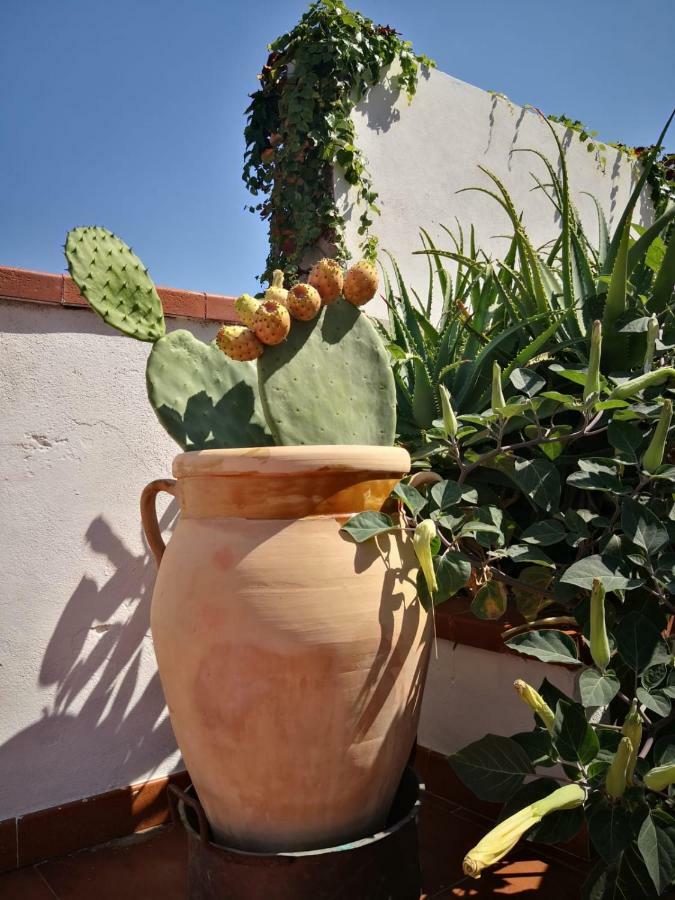 B&B Villa Ziella Portopalo Di Capo Passero Exterior photo